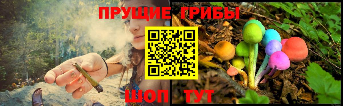 наркота  Галлюциногенные грибы Psilocybine cubensis  Вход с VPN  Сафоново  Галлюциногенные грибы ЛСД 