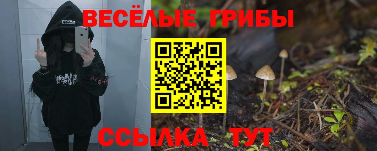 Галлюциногенные грибы MAGIC MUSHROOMS Сафоново